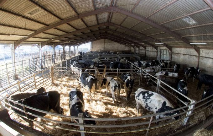 Camaras en los Mataderos de almeria 